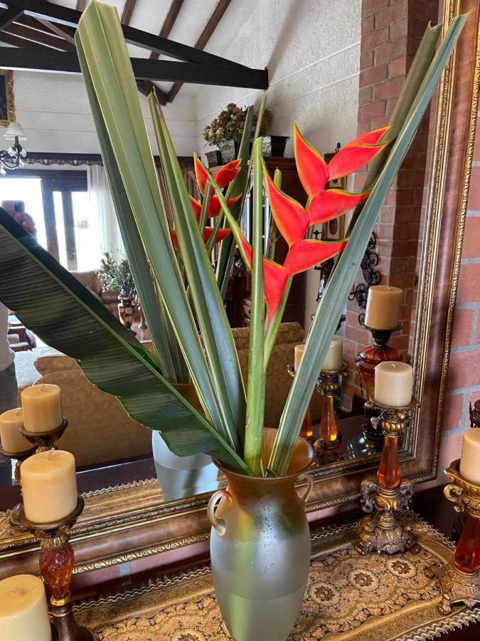 Finca Hotel Villa Camila โคปาคาบานา ภายนอก รูปภาพ